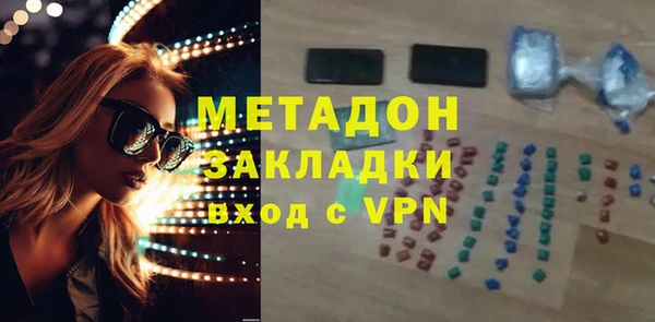 хмурый Аркадак