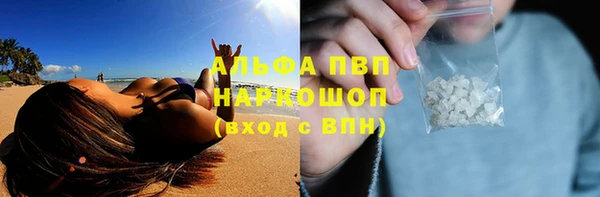 хмурый Аркадак