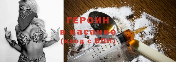 хмурый Аркадак