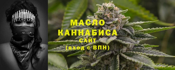 хмурый Аркадак